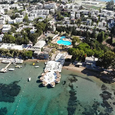 Camelot Boutique アキアーラ